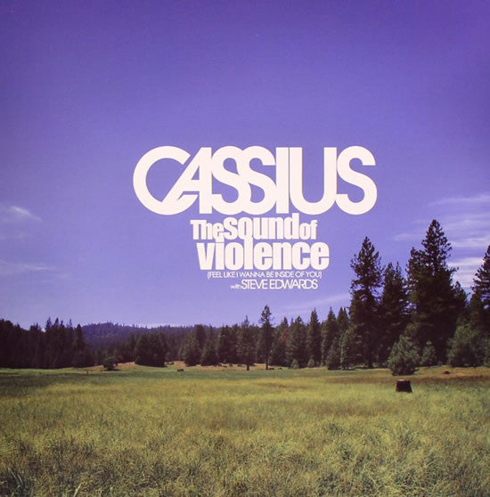 Cassius With Steve Edwards : The Sound Of Violence (Feel Like I Wanna Be Inside Of You) (12")