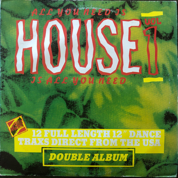 Various : All You Need Is House - House Is All You Need - Vol. 1 (2xLP, Comp)