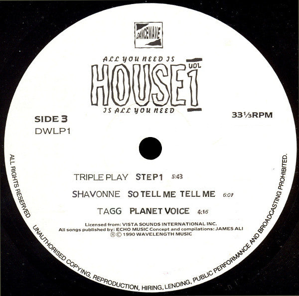 Various : All You Need Is House - House Is All You Need - Vol. 1 (2xLP, Comp)