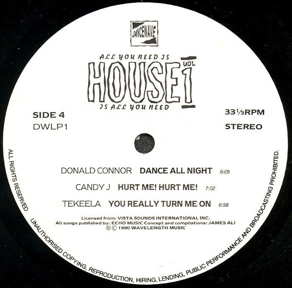 Various : All You Need Is House - House Is All You Need - Vol. 1 (2xLP, Comp)