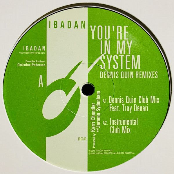 Kerri Chandler And Jerome Sydenham* Ft. Troy Denari : You're In My System (Dennis Quin Remixes) (12")