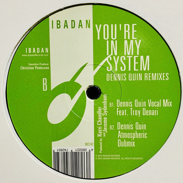 Kerri Chandler And Jerome Sydenham* Ft. Troy Denari : You're In My System (Dennis Quin Remixes) (12")