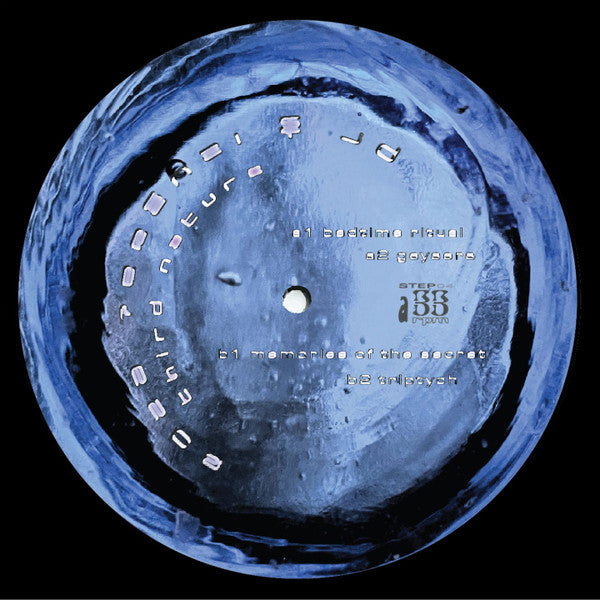 Roza Terenzi & jd* : Third Nature (12")