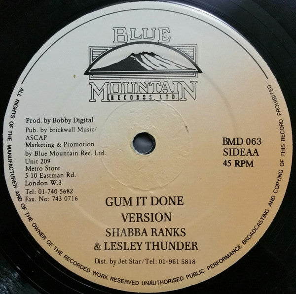 Brian & Tony Gold / Shabba Ranks & Lesley Thunder* : On And On / Gum It Done (12")