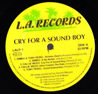 Various : Cry For A Sound Boy (LP)