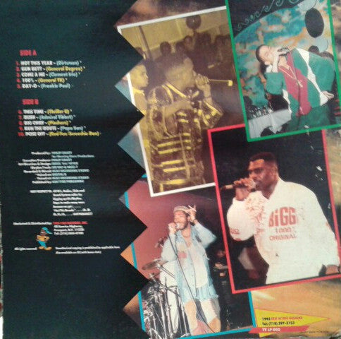 Various : Hot This Year: The Album (LP, Comp)