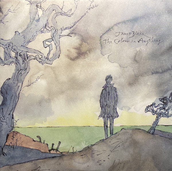 James Blake : The Colour In Anything (2xLP, Album)