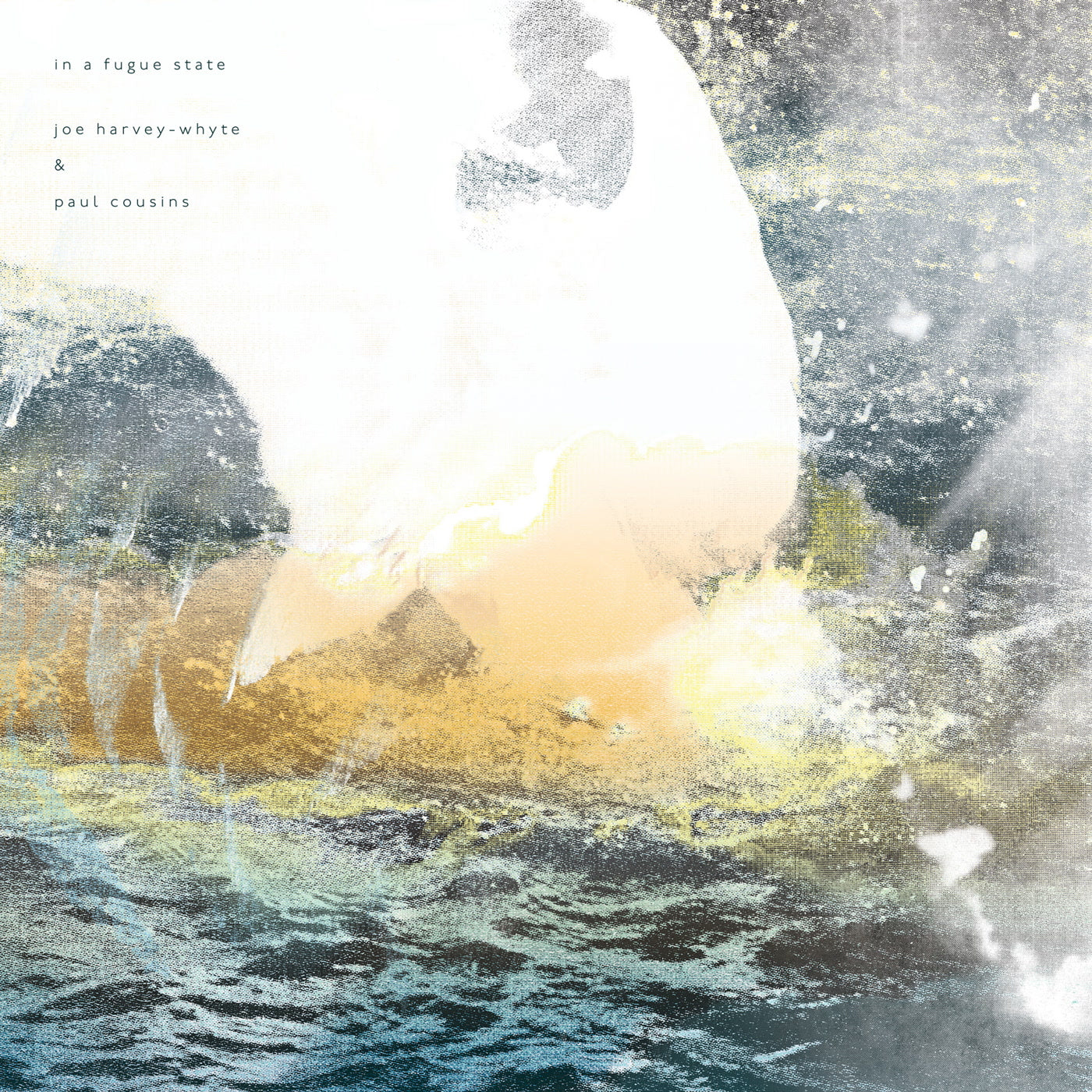 Joe Harvey-Whyte & Paul Co - In a Fugue State