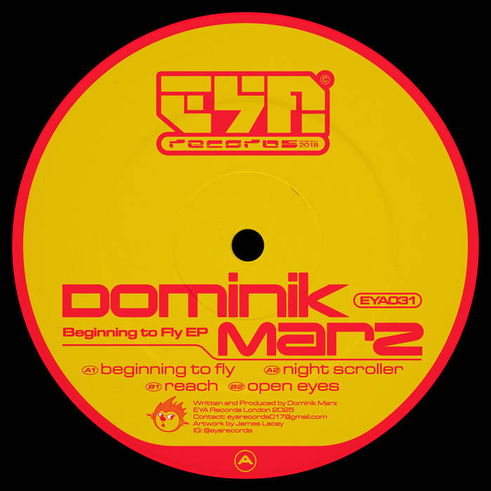 Dominik Marz - Beginning to Fly EP
