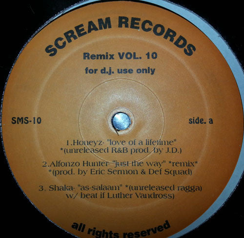 Various : Remix Vol. 10 (12", Promo, Unofficial)