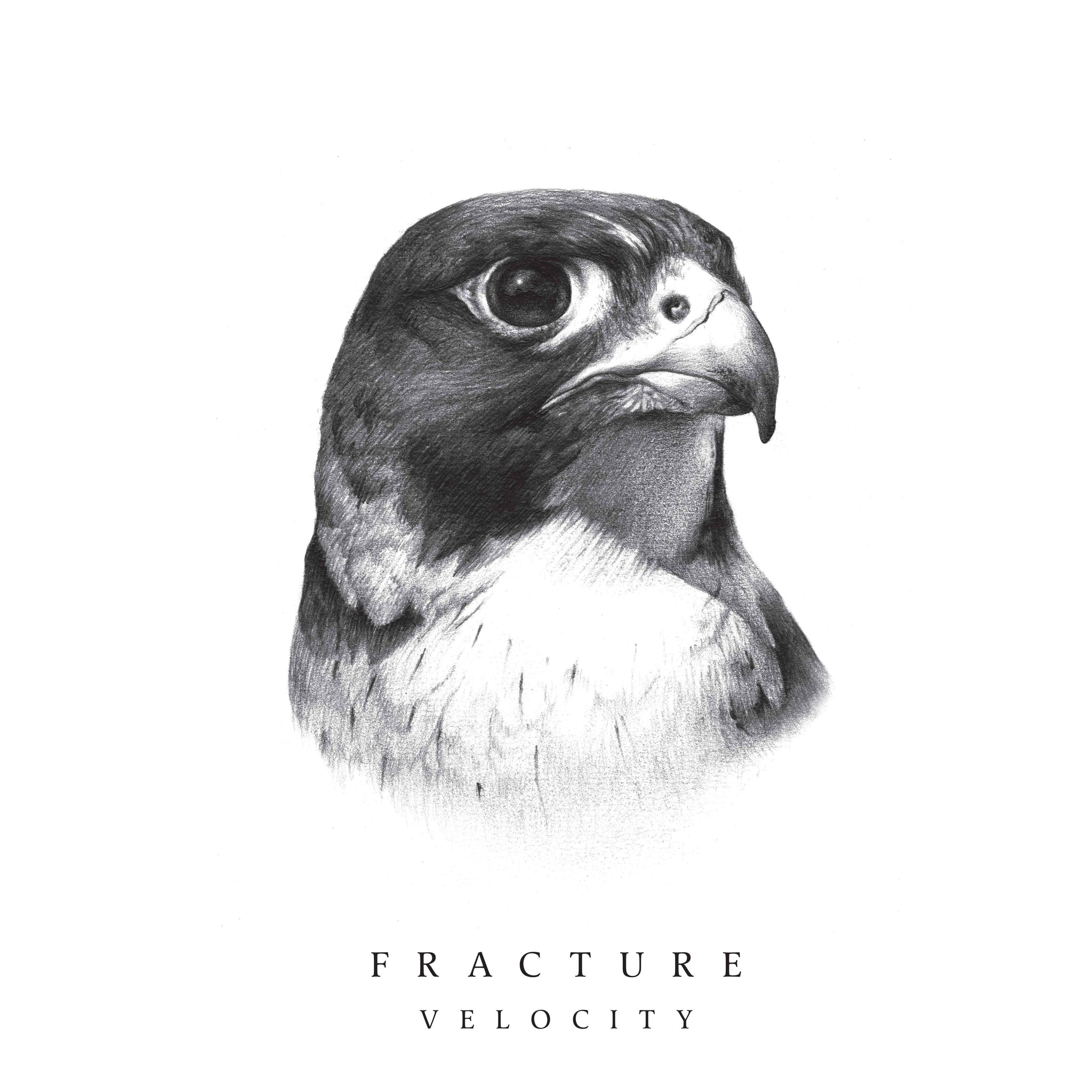Fracture - Velocity EP (ft Nah Eeto)