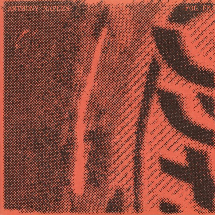 Anthony Naples - Fog FM (2 x 12" Vinyl LP) - Out Of Joint Records