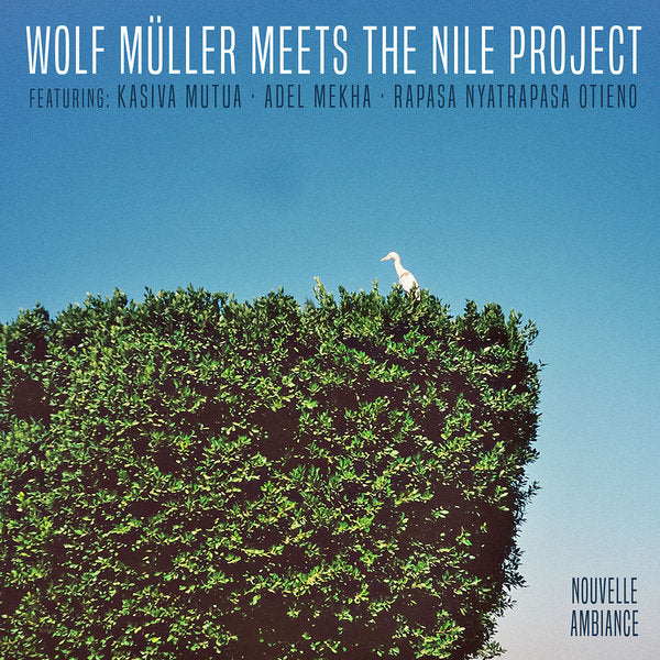 Wolf Müller // The Nile Project - Wolf Müller Meets The Nile Project - Out Of Joint Records