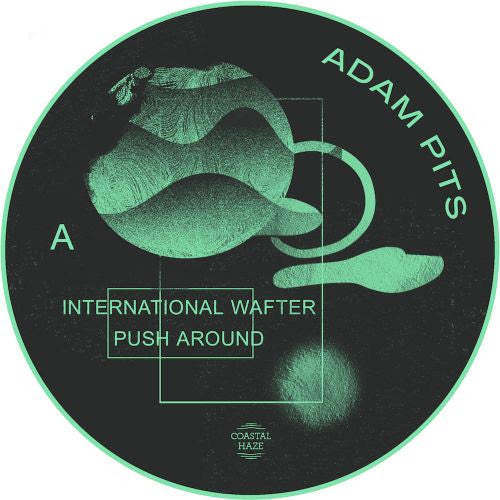 Adam Pits - International Wafter (Import) - Out Of Joint Records